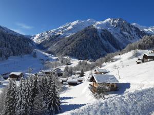 Maisons de vacances Le nid d'aigle : photos des chambres