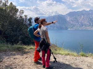 Apartments Panoramica