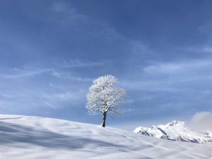 Le Mottet - ESF & Skis aux pieds