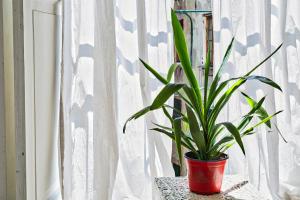 A pochi passi da Piazza de Ferrari by Wonderful Italy