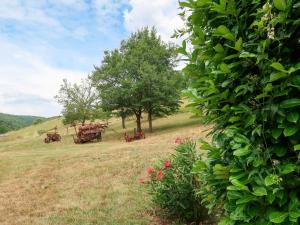 Maisons de vacances Holiday Home L'Amandier - ORN310 by Interhome : photos des chambres