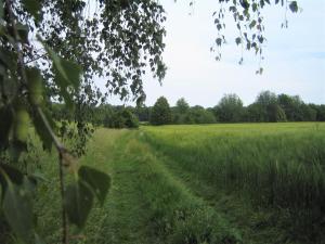 Gutshof TDA Lohma