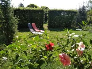 Cyklistika+rybaření+památky - Židlochovice