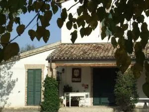 I Duchi Pellegrini - Rustico