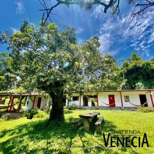 Hacienda Venecia Hostel