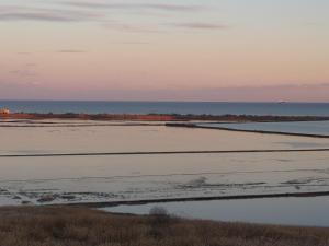 Drago Apartament free parking