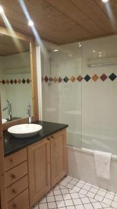 Appartements Apartment A 01 in St Martin de Belleville : photos des chambres