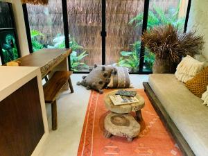 Tulum Boho beautiful Apt special fee for Bardo daypass