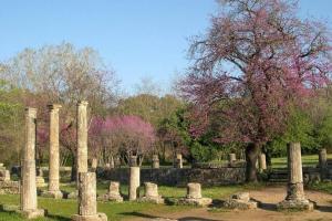 Four seasons relaxing Villa Achaia Greece