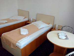 Standard Double or Twin Room room in Hotel Lebăda