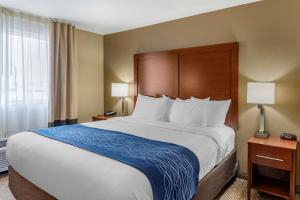 King Room - Accessible/Non-Smoking room in Comfort Inn Roseburg