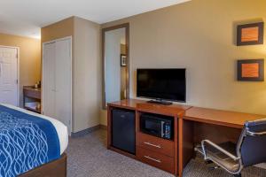 Standard King Room - Non-Smoking  room in Comfort Inn Roseburg