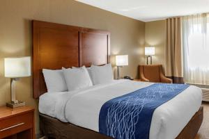 Superior King Room - Non-Smoking room in Comfort Inn Roseburg