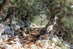 B&B Issicoro img56
