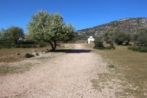 B&B Issicoro img55