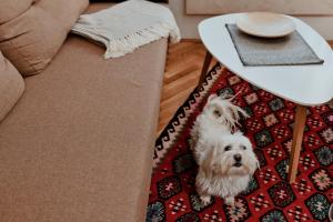 Apartment Sunčana dolina