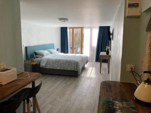 Appartements Blacksmiths Apartment in Blanzay - 1 bed : photos des chambres