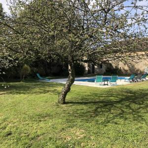Appartements Blacksmiths Apartment in Blanzay - 1 bed : photos des chambres