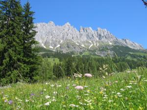 Appartementhaus Hochkönig 1 - Mandlwandblick
