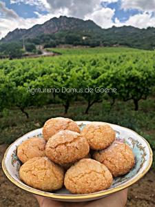 Domus de Goene img42