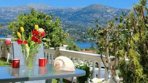 Blue Lagoon Luxury Apartment G2