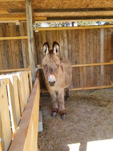 Maisons de vacances Cocon familial a la ferme : photos des chambres