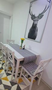 Apartman Iva