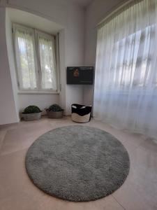 BMP APARTMENT GIOIOSA 2 giardino vista Lago Maggiore