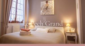 B&B / Chambres d'hotes Chambres & Tables d'hotes Le Pech Grand : photos des chambres