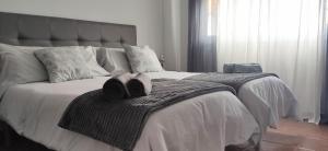 Apartamento rural NÍVALIS