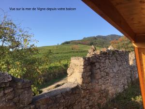 Maisons d'hotes Le Refuge du Rempart : photos des chambres