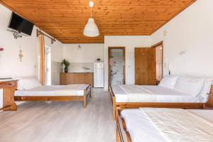 Bemyguest Budget Villa Petros Pieria Greece