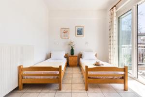 Bemyguest Budget White Bluebell Pieria Greece