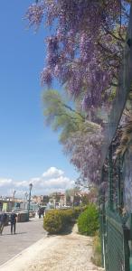 BIENNALE FLAT IN GIARDINI