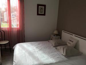 Hotels Hotel La Cote d'Argent : Chambre Double - Vue sur Jardin