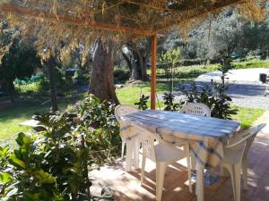 Casa tra mare e oliveti