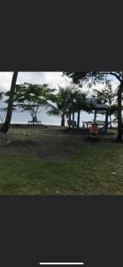 Azure at Tranquility Bay Beach