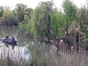 FeWo 2,4,5,6 Altstadt - Am grossen Garten