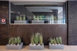 Apartament Sedina D211 Nadmorskie Tarasy