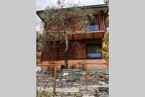 La Casetta di Molly tra ulivi e roseto