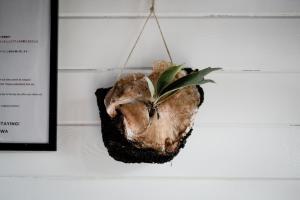 LOGIN OKINAWA -wood-