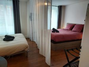 MonHavre, Dauphine St François, Bord de mer, WIFI, Fibre Orange