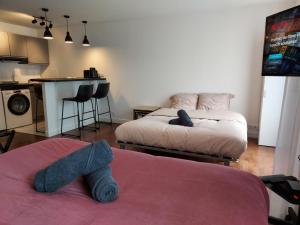 Appartements MonHavre, Dauphine St Francois, Bord de mer, WIFI, Fibre Orange : photos des chambres