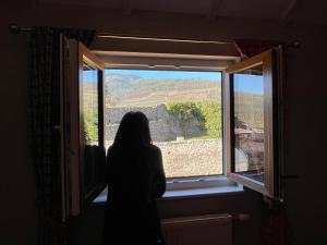 Maisons d'hotes Le Refuge du Rempart : photos des chambres