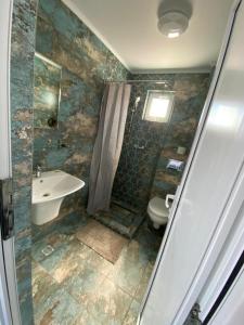 Vila Yanis Vama Veche