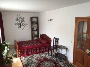 Guest House On Maksimova 9 - Koktobe
