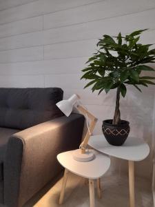 Appartements Le cosy d'Amboise : photos des chambres