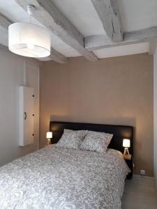 Appartements Le cosy d'Amboise : photos des chambres