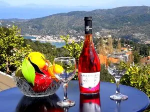 Dioni Holiday House - Pisaëtós