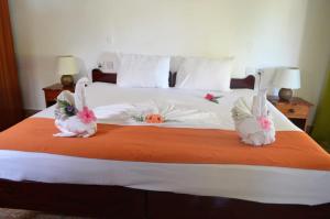 Rising Sun Guesthouse